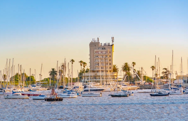 乌拉圭海关数据查询平台（附免费试用查询名额)